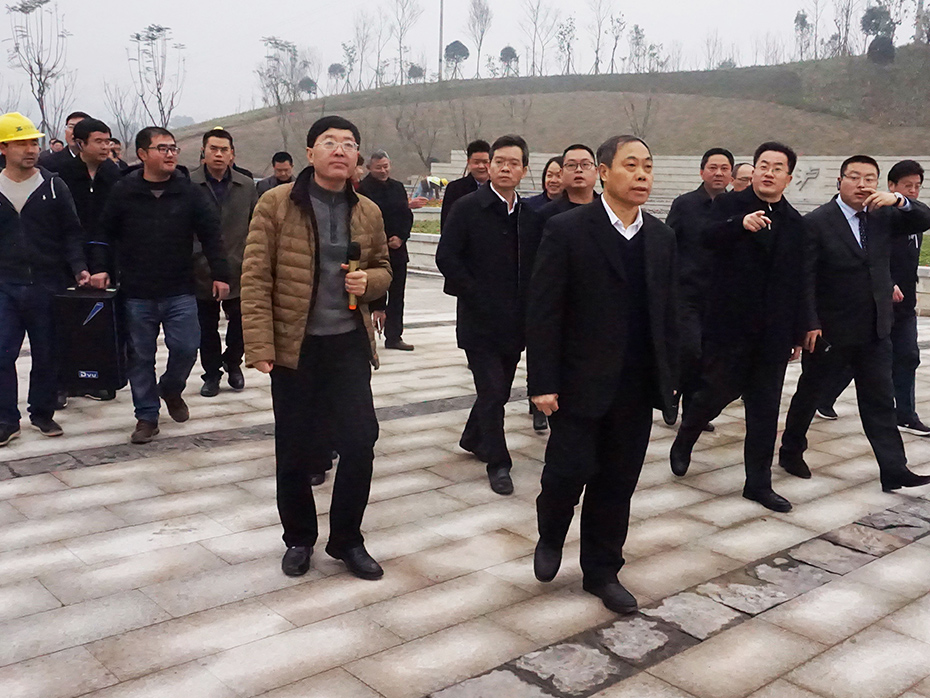 市委書記蔣輔義帶隊調研長江生態(tài)濕地公園